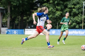 Bild 177 - wBJ HSV Leistungsvergleich
